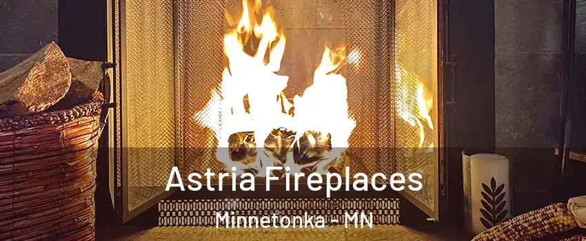  Astria Fireplaces Minnetonka - MN