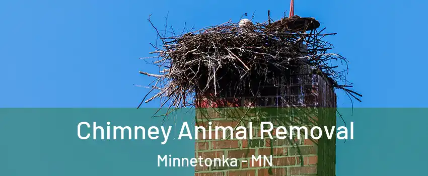 Chimney Animal Removal Minnetonka - MN