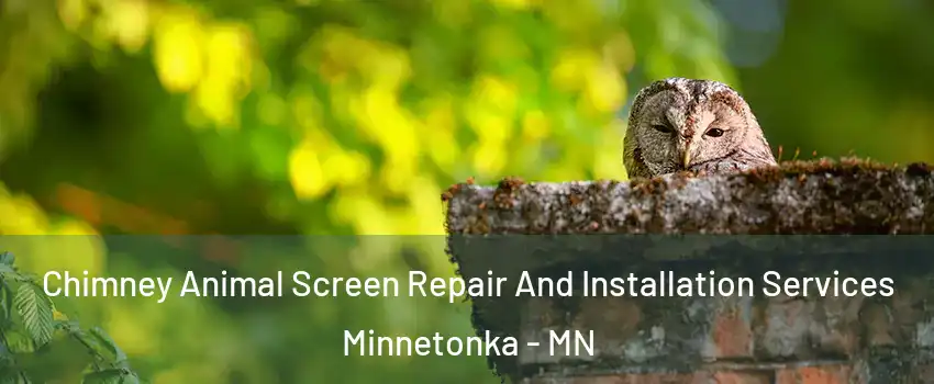  Chimney Animal Screen Repair And Installation Services Minnetonka - MN