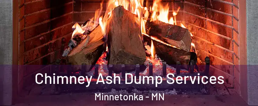  Chimney Ash Dump Services Minnetonka - MN