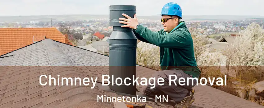  Chimney Blockage Removal Minnetonka - MN