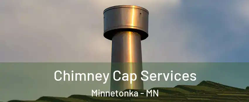  Chimney Cap Services Minnetonka - MN