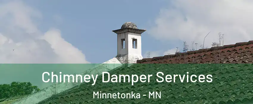  Chimney Damper Services Minnetonka - MN