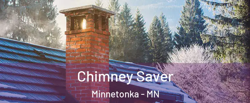 Chimney Saver Minnetonka - MN