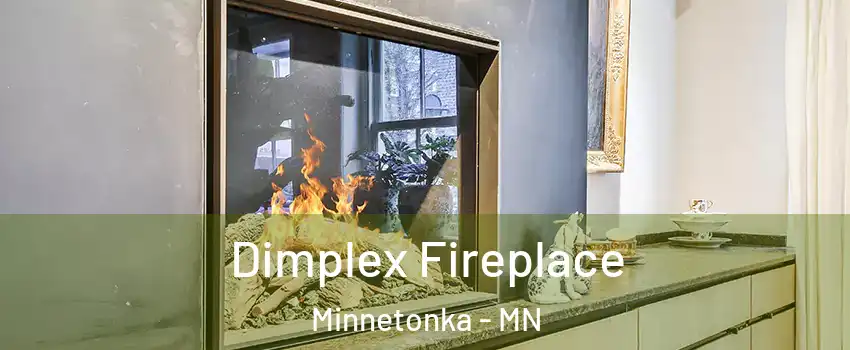  Dimplex Fireplace Minnetonka - MN