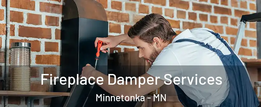  Fireplace Damper Services Minnetonka - MN