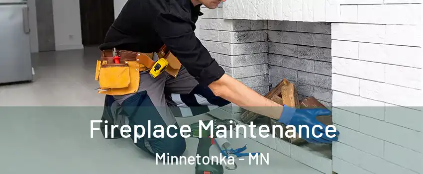  Fireplace Maintenance Minnetonka - MN
