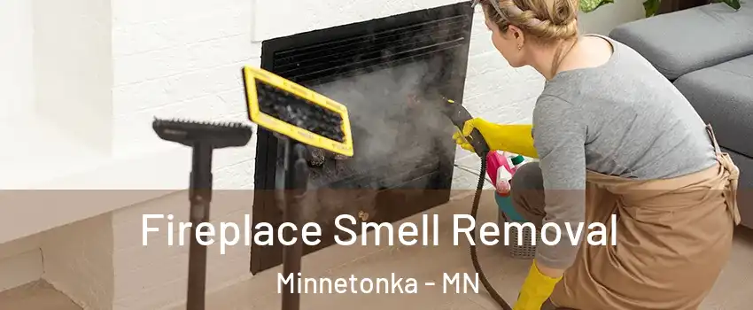  Fireplace Smell Removal Minnetonka - MN