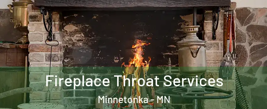  Fireplace Throat Services Minnetonka - MN