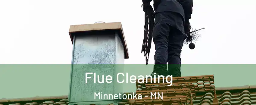  Flue Cleaning Minnetonka - MN