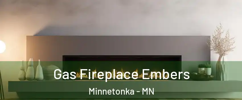  Gas Fireplace Embers Minnetonka - MN