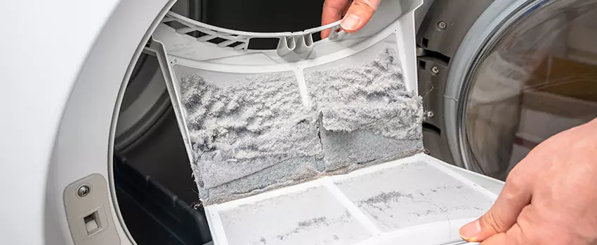Best Dryer Lint Removal Company in Minnetonka, Minnesota