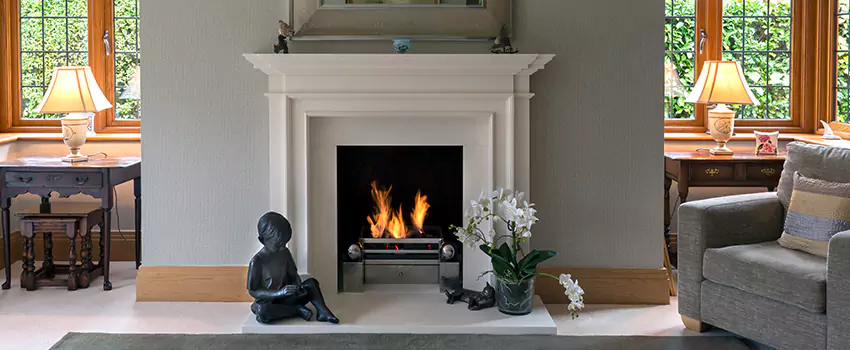 Astria Open-Hearth Wood Fireplaces Services in Minnetonka, MN