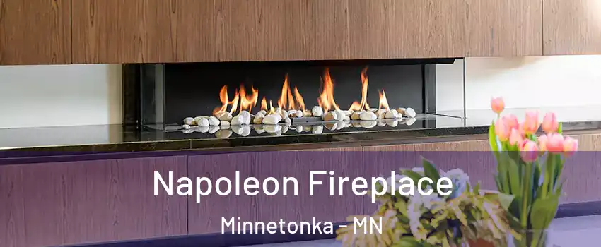  Napoleon Fireplace Minnetonka - MN