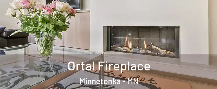Ortal Fireplace Minnetonka - MN