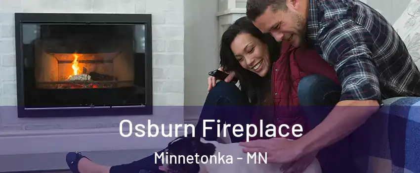  Osburn Fireplace Minnetonka - MN
