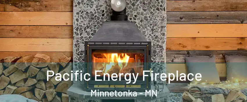  Pacific Energy Fireplace Minnetonka - MN